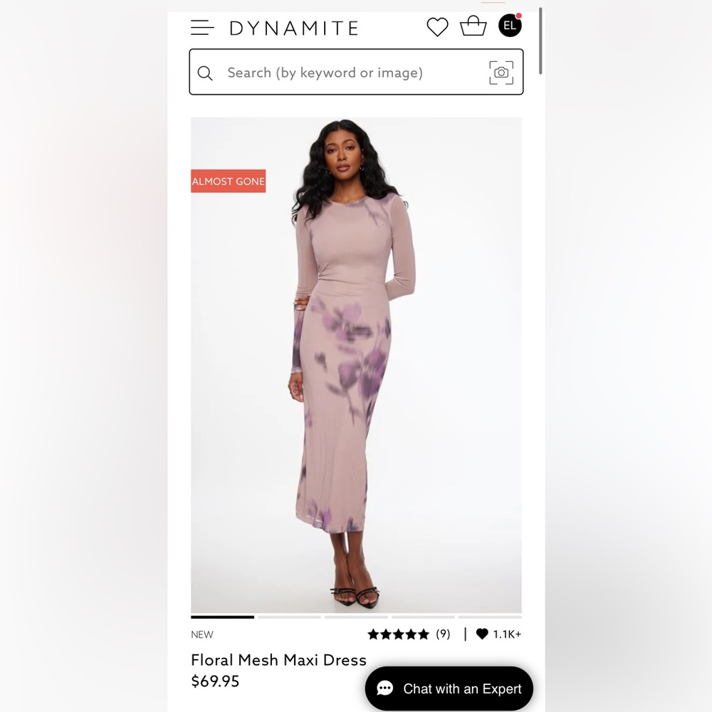 Dynamite floral mesh maxi dress
